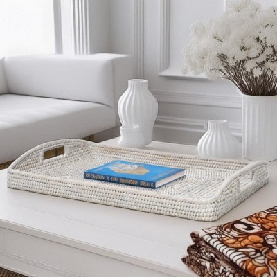 2024-10-3669 - MORNING TRAY DIRECT FROM FACTORY EXPORTER IN ASIA TO IMPORTERS 2024-10-3669 - MORNING TRAY DIRECT FROM FACTORY EXPORTER IN ASIA TO IMPORTERS