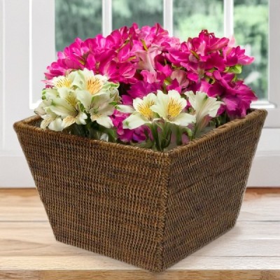 PLAN-43 - RATTAN SQUARE TAPERED PLANTER DIRECT FROM FACTORY EXPORTER IN ASIA TO IMPORTERS PLAN-43 - RATTAN SQUARE TAPERED PLANTER DIRECT FROM FACTORY EXPORTER IN ASIA TO IMPORTERS
