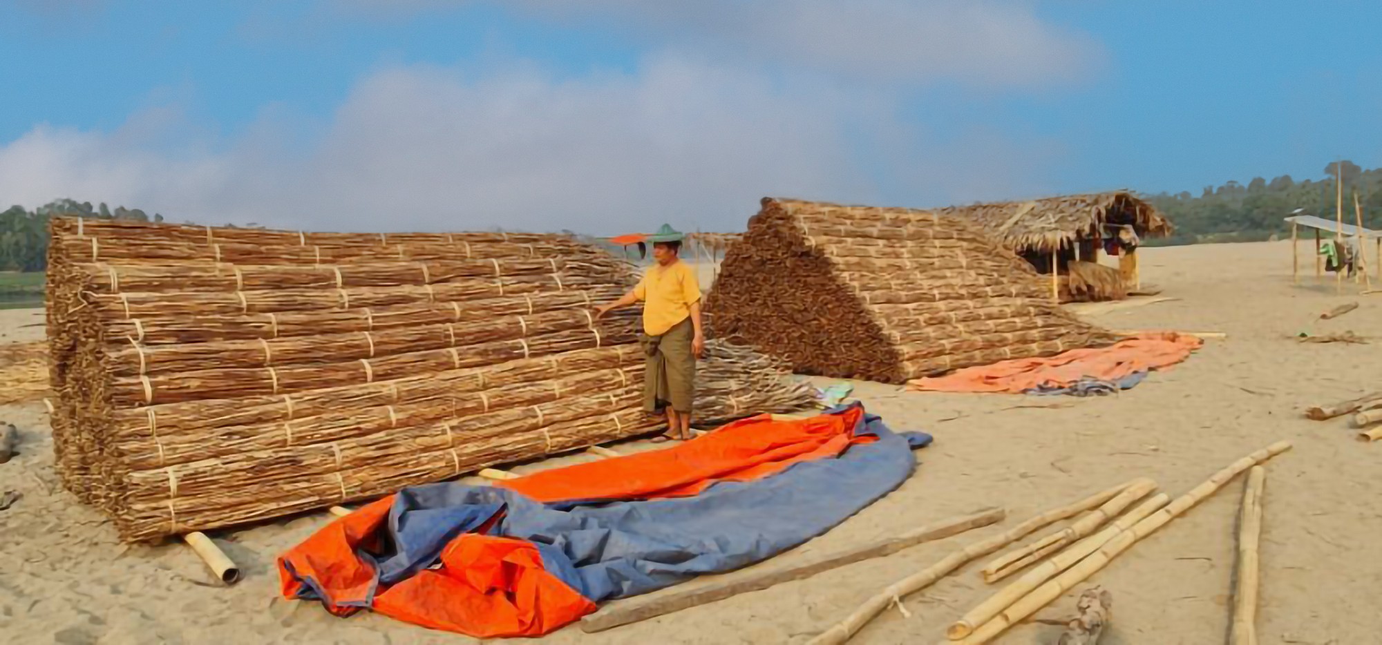 The Sustainable Harvest: Unveiling the Journey of Rattan from Forest to Craft